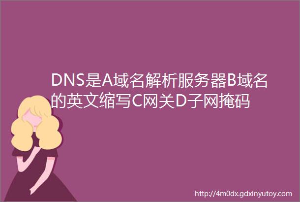 DNS是A域名解析服务器B域名的英文缩写C网关D子网掩码